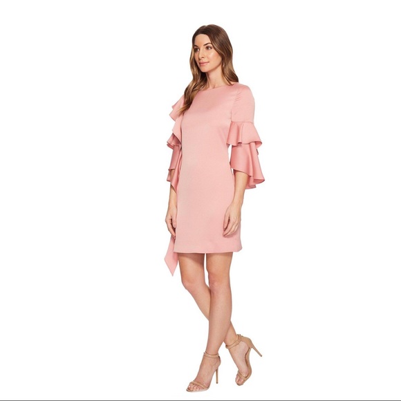 ted baker eicio dress